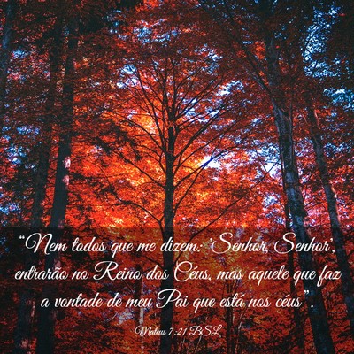 Picture 03 - Mateus 7:21 BSL - “Nem todos que me dizem: 'Senhor, Senhor', - Bible Verse Picture