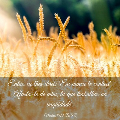 Picture 03 - Mateus 7:23 BSL - Então eu lhes direi: 'Eu nunca te conheci'. - Bible Verse Picture