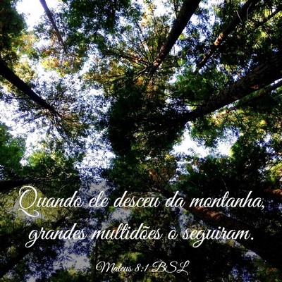 Picture 03 - Mateus 8:1 BSL - Quando ele desceu da montanha, grandes multidões - Bible Verse Picture