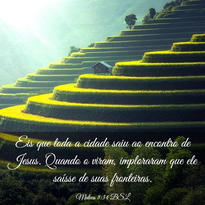 Picture 03 - Mateus 8:34 BSL - Eis que toda a cidade saiu ao encontro de Jesus. - Bible Verse Picture