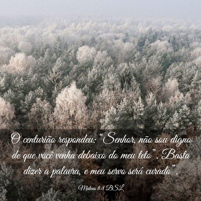 Picture 03 - Mateus 8:8 BSL - O centurião respondeu: “Senhor, não sou digno - Bible Verse Picture