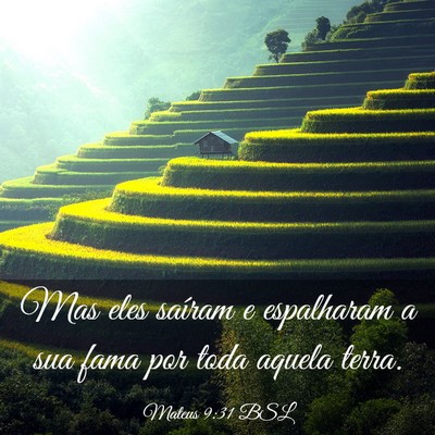 Picture 03 - Mateus 9:31 BSL - Mas eles saíram e espalharam a sua fama por toda - Bible Verse Picture