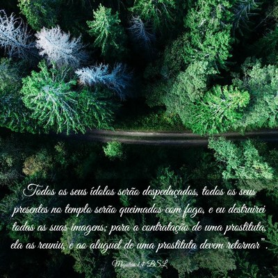 Picture 03 - Miquéias 1:7 BSL - Todos os seus ídolos serão despedaçados, todos - Bible Verse Picture
