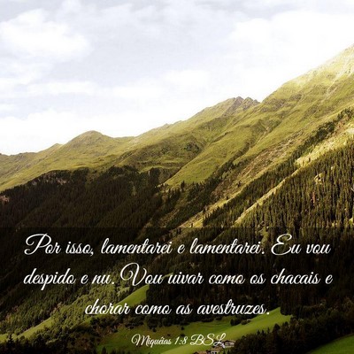 Picture 03 - Miquéias 1:8 BSL - Por isso, lamentarei e lamentarei. Eu vou despido - Bible Verse Picture