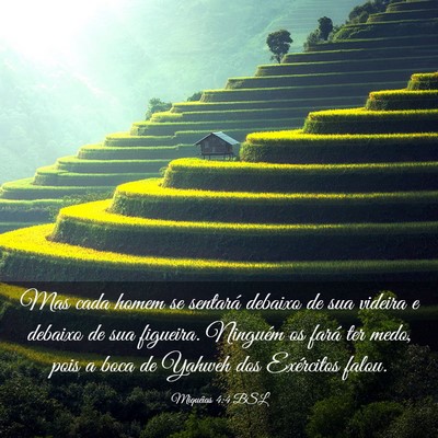 Picture 03 - Miquéias 4:4 BSL - Mas cada homem se sentará debaixo de sua videira - Bible Verse Picture