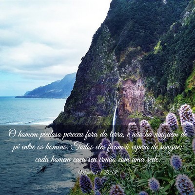 Picture 03 - Miquéias 7:2 BSL - O homem piedoso pereceu fora da terra, e não há - Bible Verse Picture