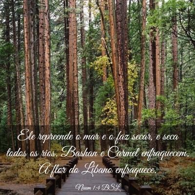 Picture 03 - Naum 1:4 BSL - Ele repreende o mar e o faz secar, e seca todos - Bible Verse Picture