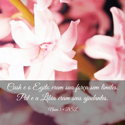 Picture 03 - Naum 3:9 BSL - Cush e o Egito eram sua força sem limites. Put e - Bible Verse Picture