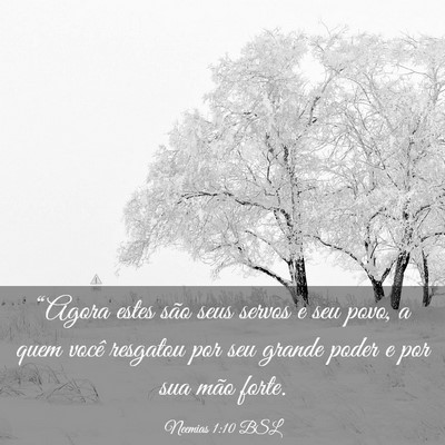 Picture 03 - Neemias 1:10 BSL - “Agora estes são seus servos e seu povo, a - Bible Verse Picture