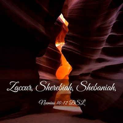 Picture 03 - Neemias 10:12 BSL - Zaccur, Sherebiah, - Bible Verse Picture