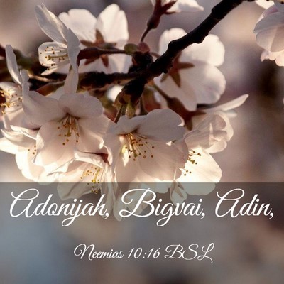 Picture 03 - Neemias 10:16 BSL - Adonijah, Bigvai, - Bible Verse Picture