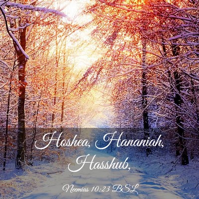 Picture 03 - Neemias 10:23 BSL - Hoshea, Hananiah, - Bible Verse Picture