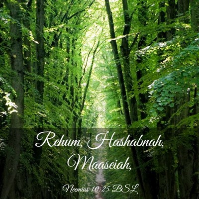 Picture 03 - Neemias 10:25 BSL - Rehum, Hashabnah, - Bible Verse Picture