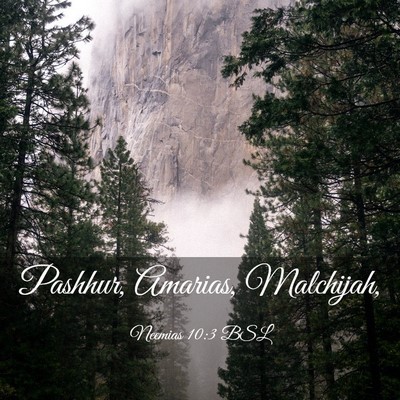 Picture 03 - Neemias 10:3 BSL - Pashhur, Amarias, - Bible Verse Picture