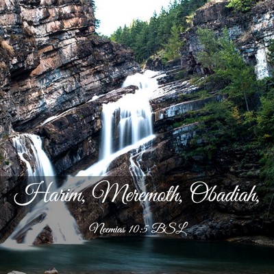 Picture 03 - Neemias 10:5 BSL - Harim, Meremoth, - Bible Verse Picture