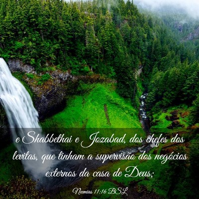 Picture 03 - Neemias 11:16 BSL - e Shabbethai e Jozabad, dos chefes dos levitas, - Bible Verse Picture