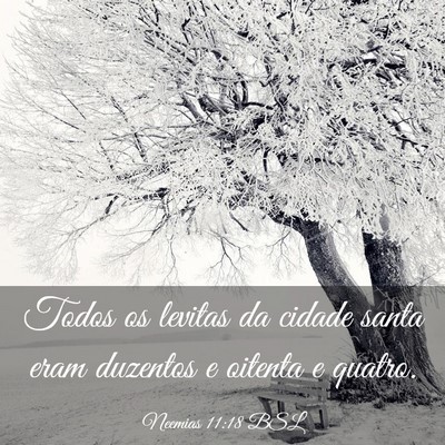 Picture 03 - Neemias 11:18 BSL - Todos os levitas da cidade santa eram duzentos e - Bible Verse Picture