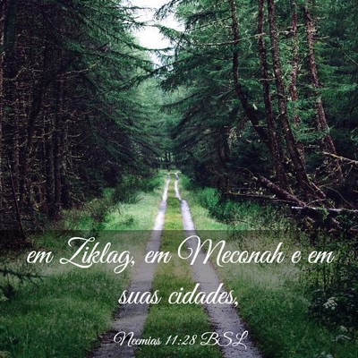 Picture 03 - Neemias 11:28 BSL - em Ziklag, em Meconah e em suas - Bible Verse Picture