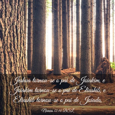 Picture 03 - Neemias 12:10 BSL - Jeshua tornou-se o pai de Joiakim, e Joiakim - Bible Verse Picture