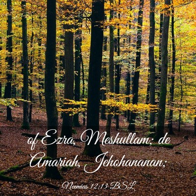 Picture 03 - Neemias 12:13 BSL - of Ezra, Meshullam; de Amariah, - Bible Verse Picture
