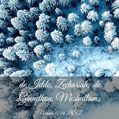 Picture 03 - Neemias 12:16 BSL - de Iddo, Zechariah; de Ginnethon, - Bible Verse Picture