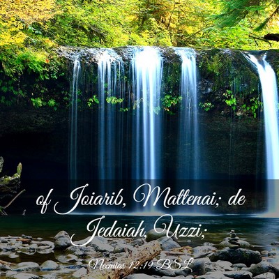 Picture 03 - Neemias 12:19 BSL - of Joiarib, Mattenai; de Jedaiah, - Bible Verse Picture