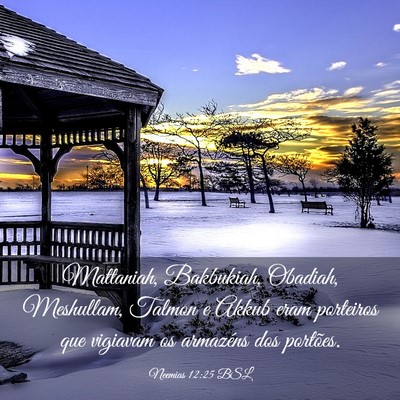 Picture 03 - Neemias 12:25 BSL - Mattaniah, Bakbukiah, Obadiah, Meshullam, Talmon - Bible Verse Picture