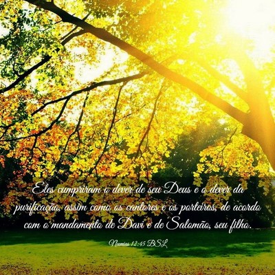 Picture 03 - Neemias 12:45 BSL - Eles cumpriram o dever de seu Deus e o dever da - Bible Verse Picture