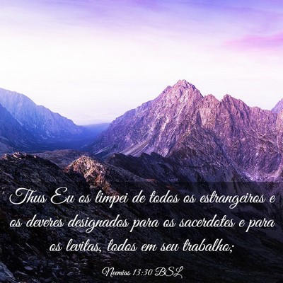 Picture 03 - Neemias 13:30 BSL - Thus Eu os limpei de todos os estrangeiros e os - Bible Verse Picture
