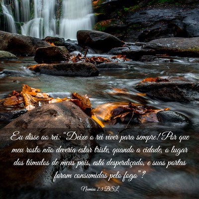 Picture 03 - Neemias 2:3 BSL - Eu disse ao rei: “Deixe o rei viver para - Bible Verse Picture