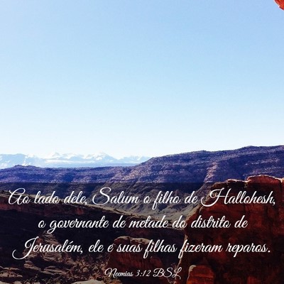Picture 03 - Neemias 3:12 BSL - Ao lado dele, Salum o filho de Hallohesh, o - Bible Verse Picture