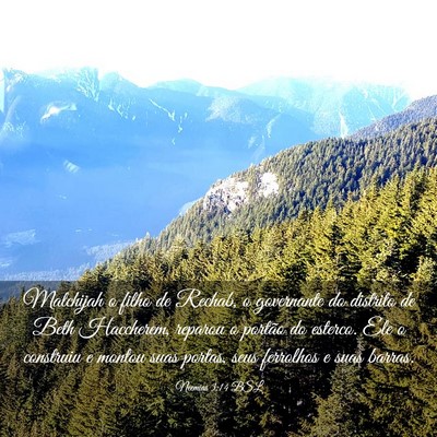 Picture 03 - Neemias 3:14 BSL - Malchijah o filho de Rechab, o governante do - Bible Verse Picture
