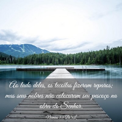 Picture 03 - Neemias 3:5 BSL - Ao lado deles, os tecoítas fizeram reparos; mas - Bible Verse Picture