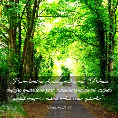 Picture 03 - Neemias 5:4 BSL - Houve também alguns que disseram: “Pedimos - Bible Verse Picture