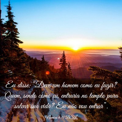 Picture 03 - Neemias 6:11 BSL - Eu disse: “Deve um homem como eu fugir? Quem, - Bible Verse Picture