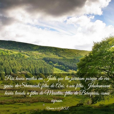 Picture 03 - Neemias 6:18 BSL - Pois havia muitos em Judá que lhe juraram porque - Bible Verse Picture