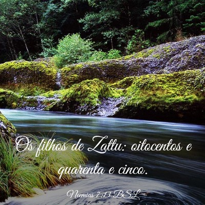 Picture 03 - Neemias 7:13 BSL - Os filhos de Zattu: oitocentos e quarenta e - Bible Verse Picture