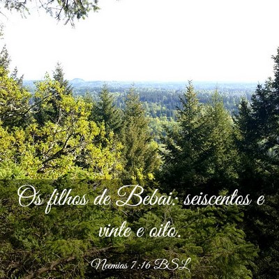 Picture 03 - Neemias 7:16 BSL - Os filhos de Bebai: seiscentos e vinte e - Bible Verse Picture