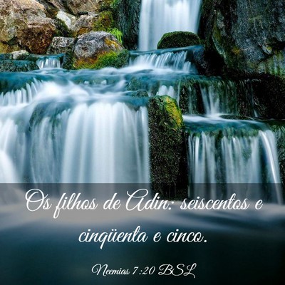 Picture 03 - Neemias 7:20 BSL - Os filhos de Adin: seiscentos e cinqüenta e - Bible Verse Picture