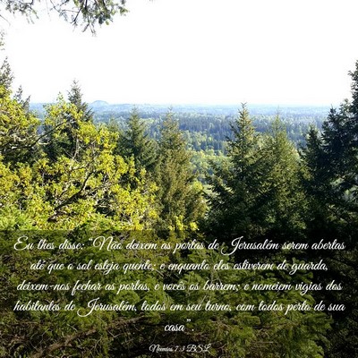 Picture 03 - Neemias 7:3 BSL - Eu lhes disse: “Não deixem as portas de - Bible Verse Picture