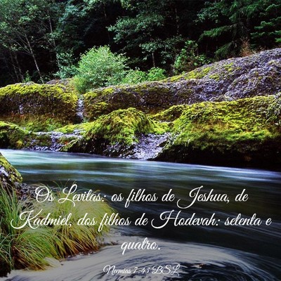 Picture 03 - Neemias 7:43 BSL - Os Levitas: os filhos de Jeshua, de Kadmiel, dos - Bible Verse Picture