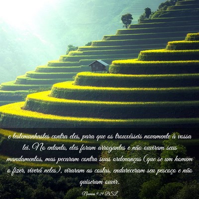 Picture 03 - Neemias 9:29 BSL - e testemunhastes contra eles, para que os - Bible Verse Picture