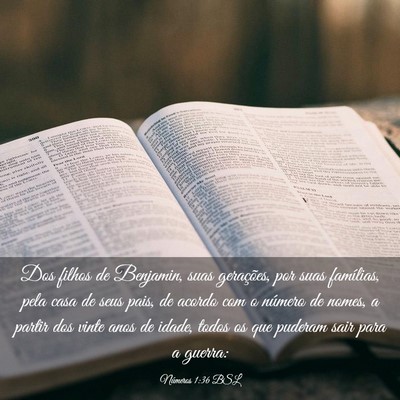 Picture 03 - Números 1:36 BSL - Dos filhos de Benjamin, suas gerações, por suas - Bible Verse Picture