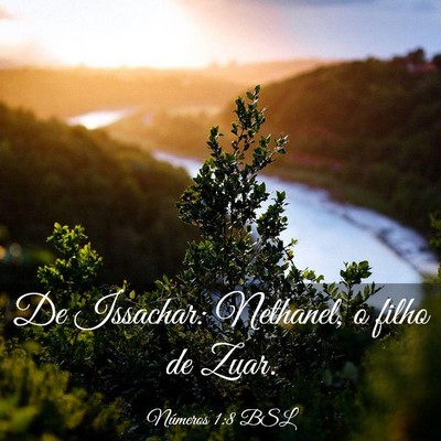 Picture 03 - Números 1:8 BSL - De Issachar: Nethanel, o filho de - Bible Verse Picture