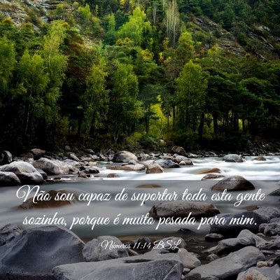 Picture 03 - Números 11:14 BSL - Não sou capaz de suportar toda esta gente - Bible Verse Picture