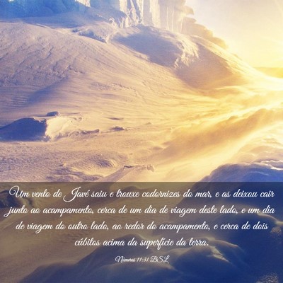 Picture 03 - Números 11:31 BSL - Um vento de Javé saiu e trouxe codornizes do - Bible Verse Picture