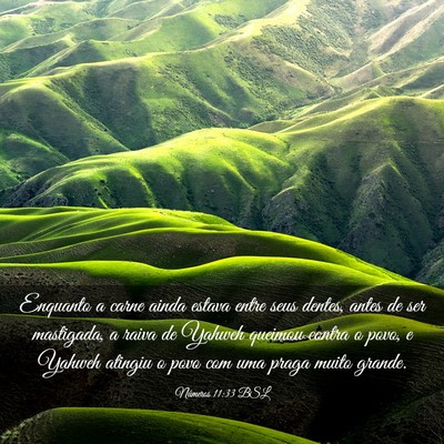 Picture 03 - Números 11:33 BSL - Enquanto a carne ainda estava entre seus dentes, - Bible Verse Picture
