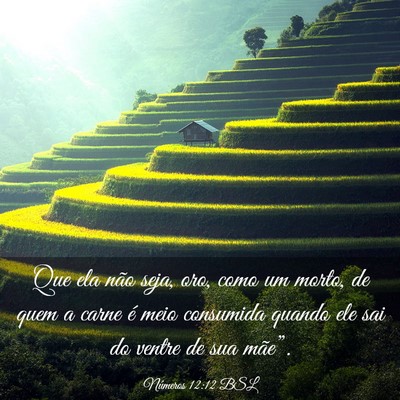 Picture 03 - Números 12:12 BSL - Que ela não seja, oro, como um morto, de quem a - Bible Verse Picture