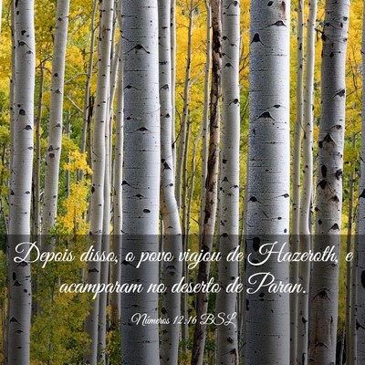 Picture 03 - Números 12:16 BSL - Depois disso, o povo viajou de Hazeroth, e - Bible Verse Picture