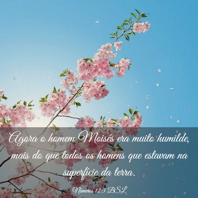 Picture 03 - Números 12:3 BSL - Agora o homem Moisés era muito humilde, mais do - Bible Verse Picture